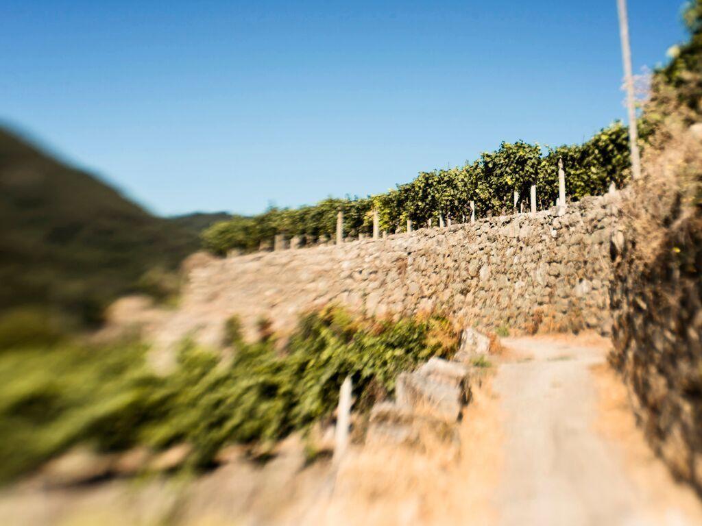 Aldea Rural Pazos De Arenteiro Guest House Ngoại thất bức ảnh